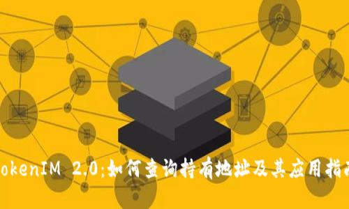 TokenIM 2.0:如何查询持有地址及其应用指南