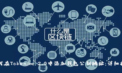 如何在Tokenim 2.0中添加钱包公钥地址:详细指南