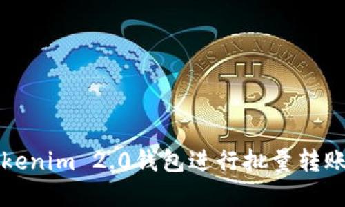 如何使用Tokenim 2.0钱包进行批量转账的完整指南