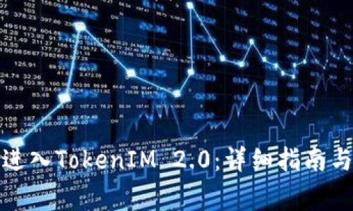 如何申请进入TokenIM 2.0:详细指南与注意事项