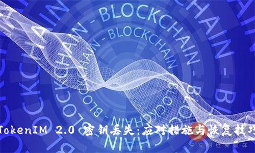 TokenIM 2.0 密钥丢失:应对措施与恢复技巧