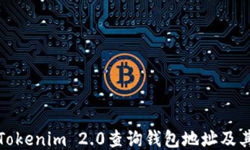如何通过Tokenim 2.0查询钱包地址及其相关信息