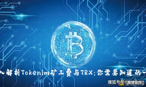 深入解析Tokenim矿工费与TRX:你需要知道的一切