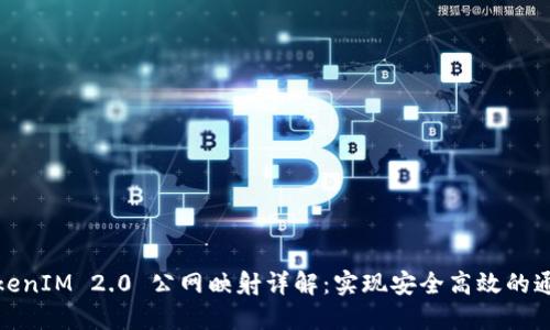 TokenIM 2.0 公网映射详解:实现安全高效的通信