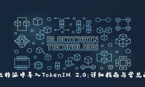 如何在比特派中导入TokenIM 2.0:详细指南与常见问题解答