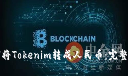 如何将Tokenim转成人民币：完整指南