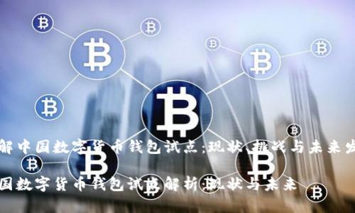 理解中国数字货币钱包试点：现状、挑战与未来发展

中国数字货币钱包试点解析：现状与未来