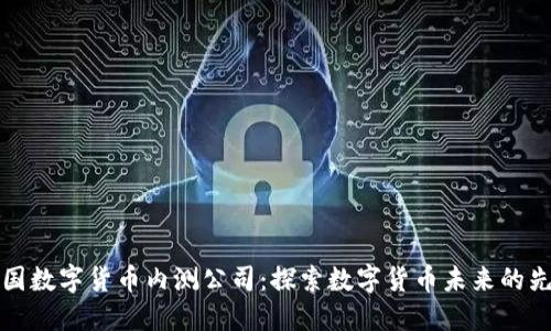 中国数字货币内测公司：探索数字货币未来的先锋