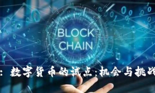 : 数字货币的试点：机会与挑战