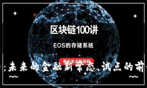 数字货币：未来的金融新常态，试点的前景与挑战