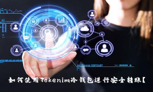 如何使用Tokenim冷钱包进行安全转账？