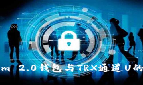 详解Tokenim 2.0钱包与TRX通道U的前景与优势