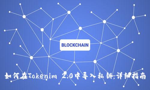如何在Tokenim 2.0中导入私钥：详细指南