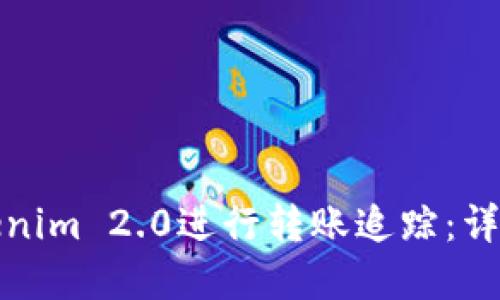 如何使用Tokenim 2.0进行转账追踪：详解与实用技巧