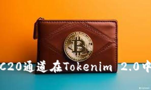 : 深入探讨HRC20通道在Tokenim 2.0中的应用与影响