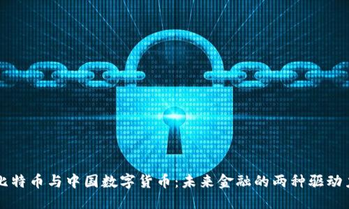 比特币与中国数字货币：未来金融的两种驱动力
