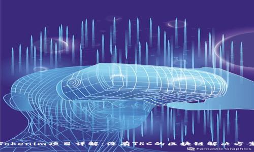 Tokenim项目详解：没有TRC的区块链解决方案