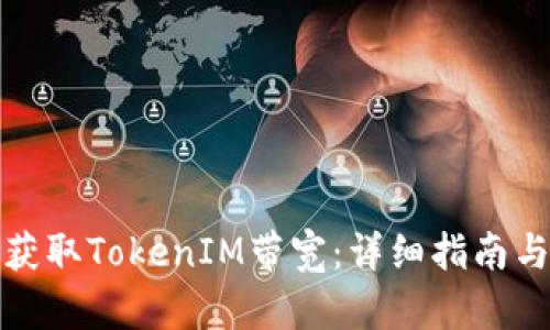 如何有效获取TokenIM带宽：详细指南与实用技巧