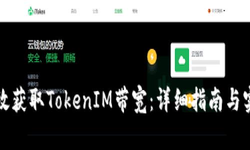 如何有效获取TokenIM带宽：详细指南与实用技巧