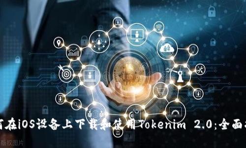 如何在iOS设备上下载和使用Tokenim 2.0：全面指南