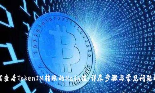 如何查看TokenIM转账的Hash值：详尽步骤与常见问题解答