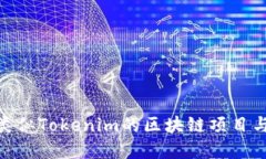 探索海外类似Tokenim的区块