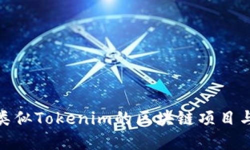 探索海外类似Tokenim的区块链项目与投资机会