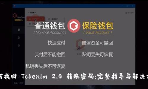 如何找回 Tokenim 2.0 转账密码：完整指导与解决方案