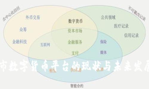 云浮市数字货币平台的现状与未来发展分析
