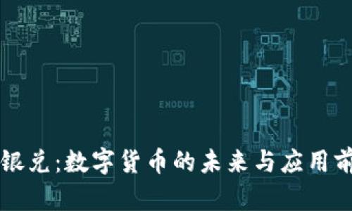 中银兑：数字货币的未来与应用前景