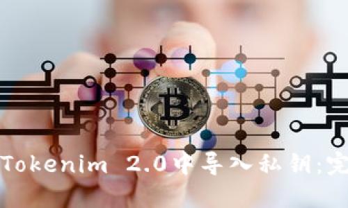 如何在Tokenim 2.0中导入私钥：完整指南